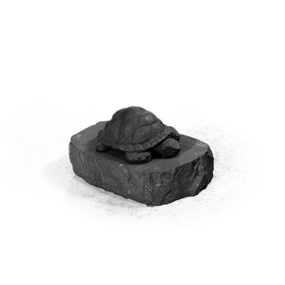 cherepashka_malenkaya_1